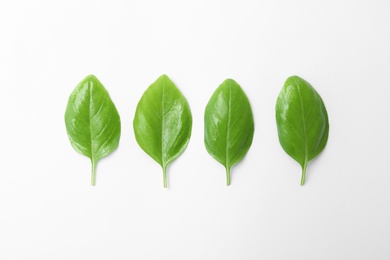 Photo of Fresh green basil leaves on white background, top view