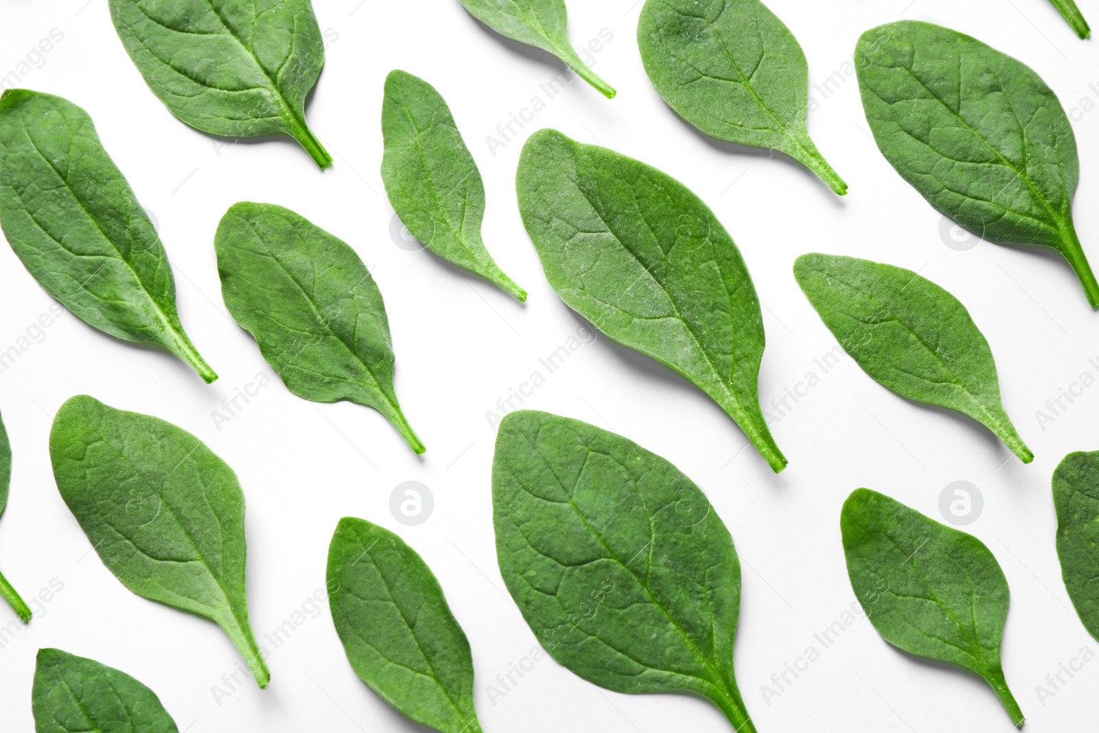 Photo of Fresh green healthy spinach leaves on white background, top view