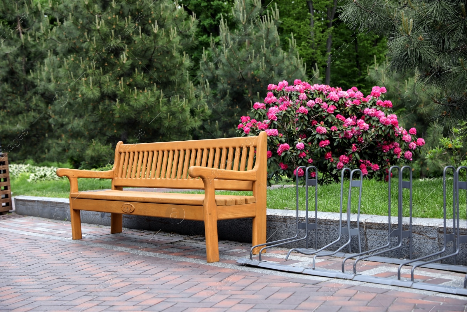 Photo of Comfortable wooden bench and bicycle parking rack in garden