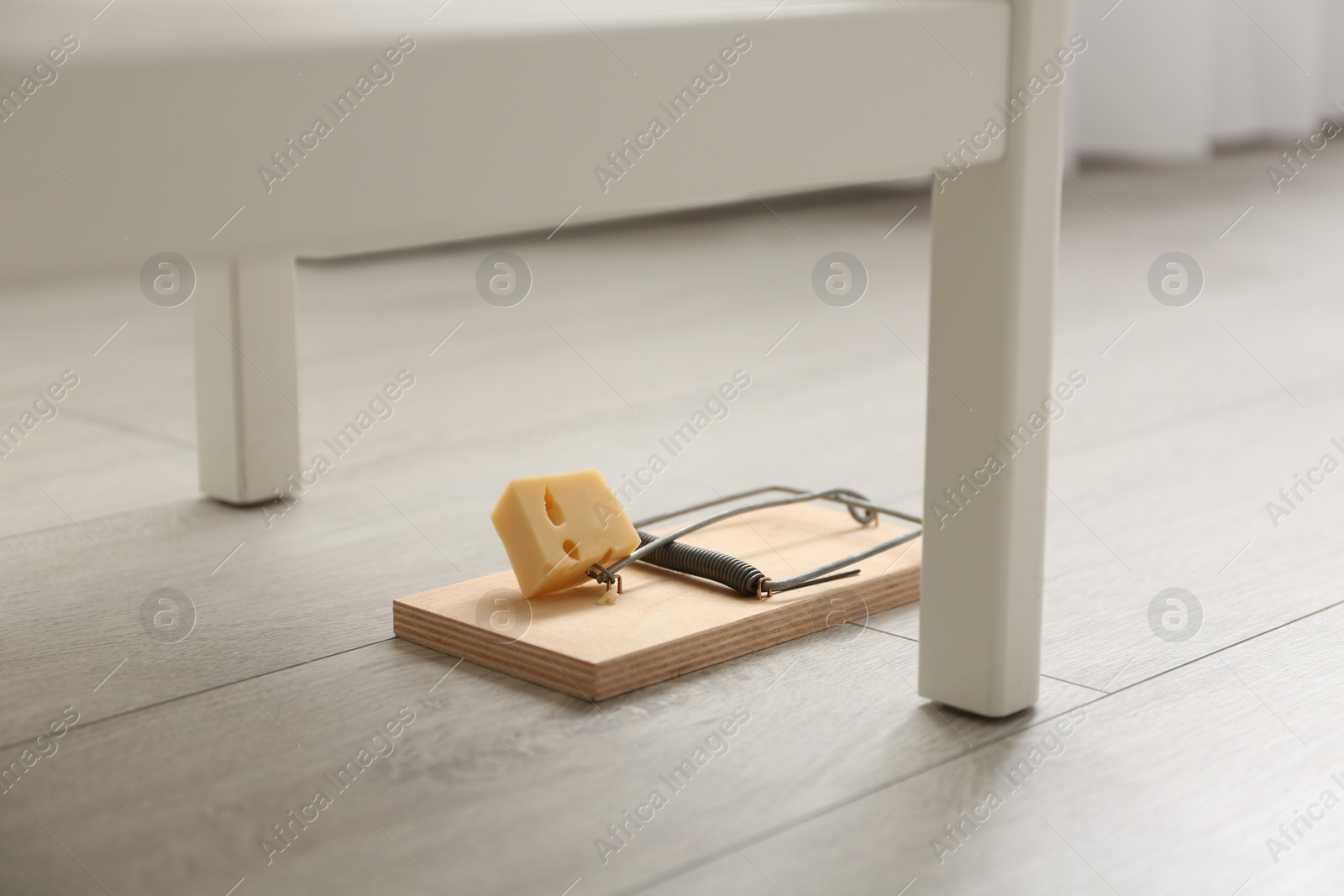 Photo of Mousetrap with piece of cheese indoors. Pest control