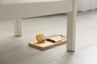 Photo of Mousetrap with piece of cheese indoors. Pest control
