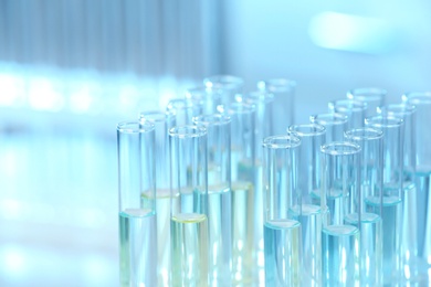 Photo of Rack with test tubes in laboratory, closeup. Chemical analysis