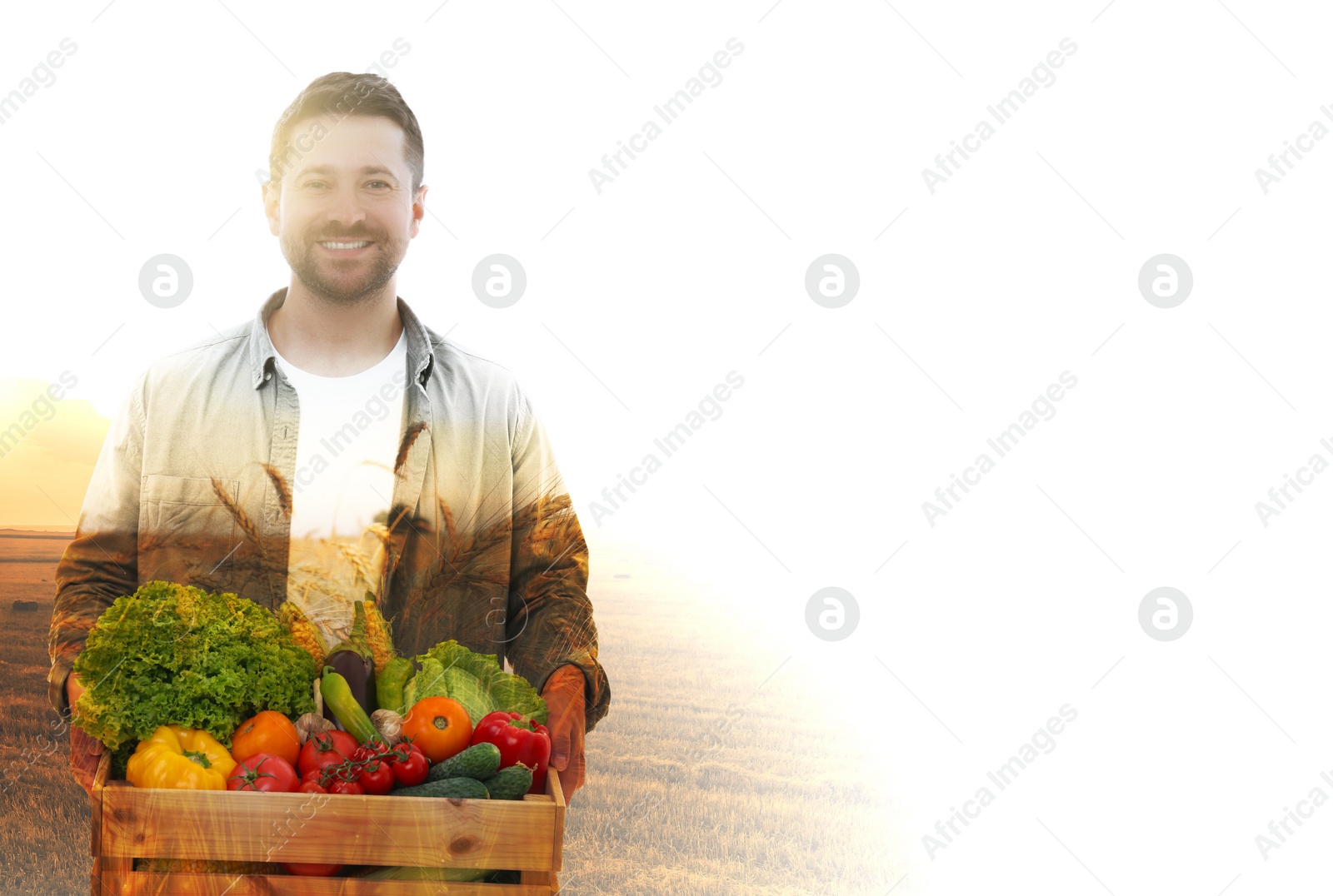 Image of Double exposure of happy farmer and wheat field on white background