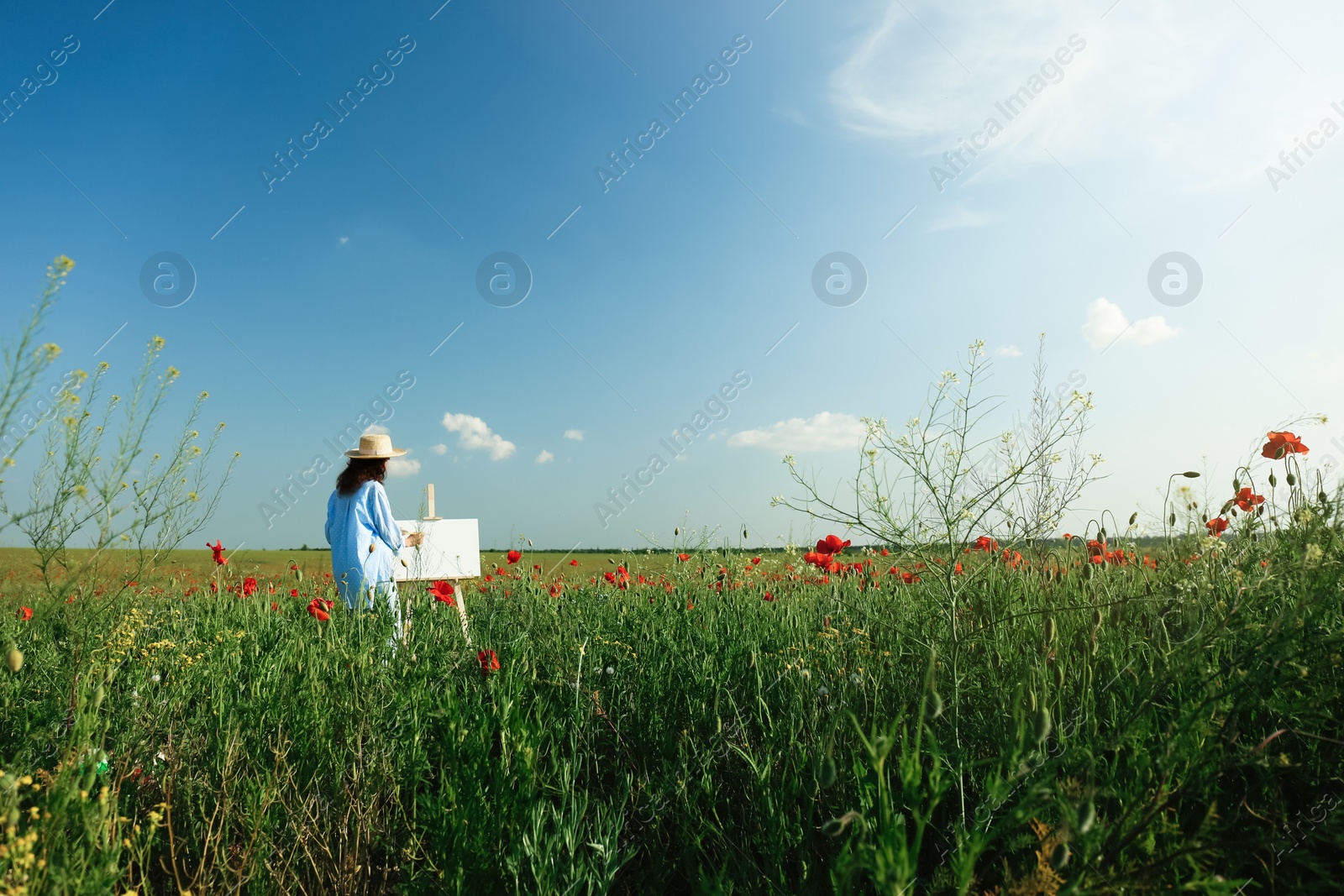 Photo of Woman painting on easel in beautiful poppy field