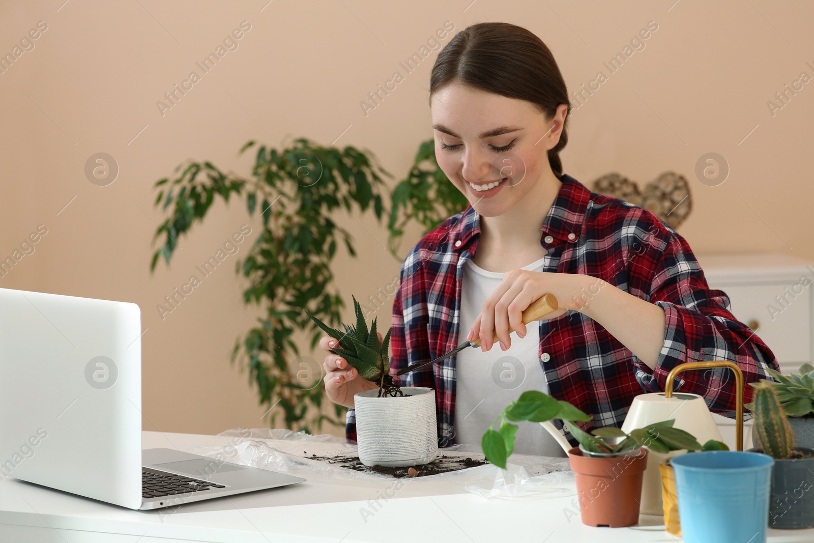 Photo of Woman taking care of plant following online gardening course at home. Time for hobby