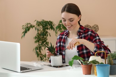 Woman taking care of plant following online gardening course at home. Time for hobby