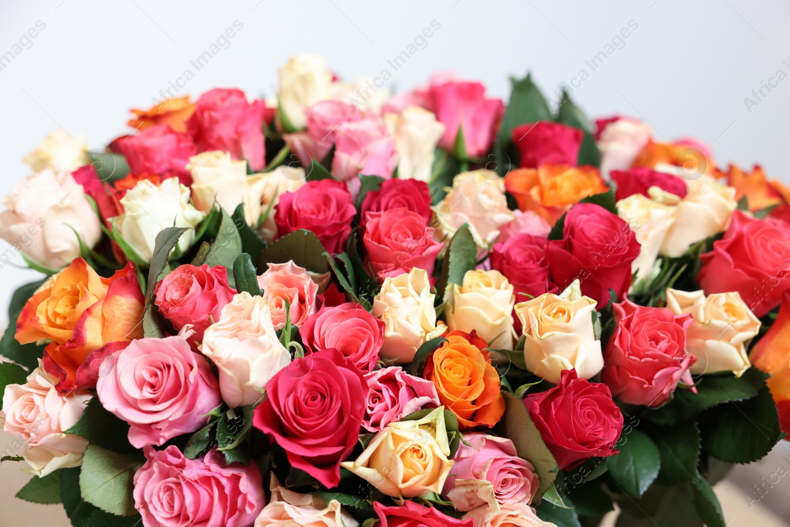 Photo of Bouquet of beautiful roses on light background, closeup