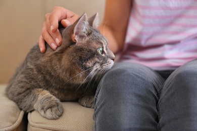 Young woman and cute gray tabby cat on couch indoors, closeup. Lovely pet