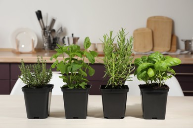 Photo of Pots with basil, thyme, mint and rosemary on white wooden table in kitchen