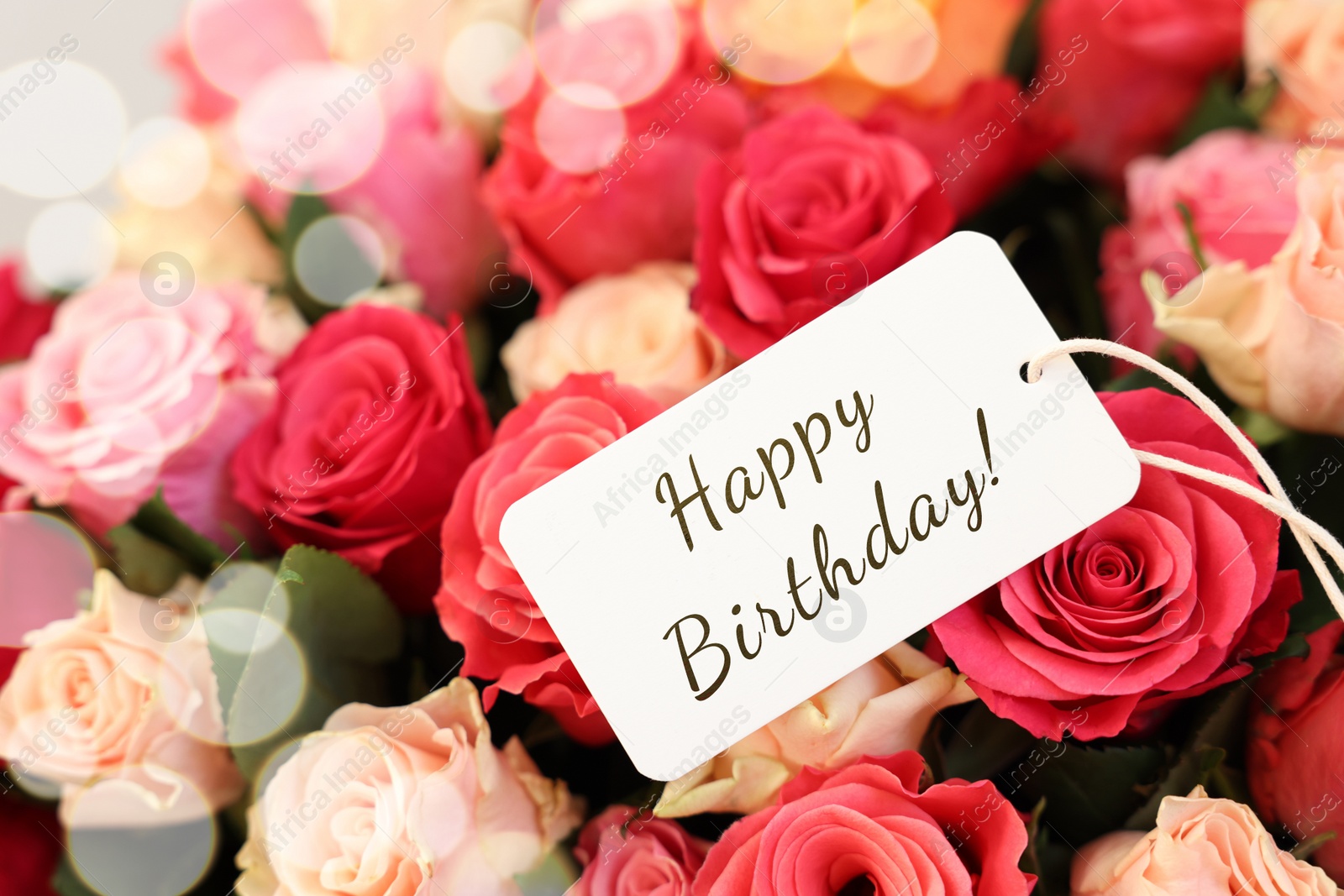 Image of Bouquet of beautiful roses with Happy Birthday card, closeup