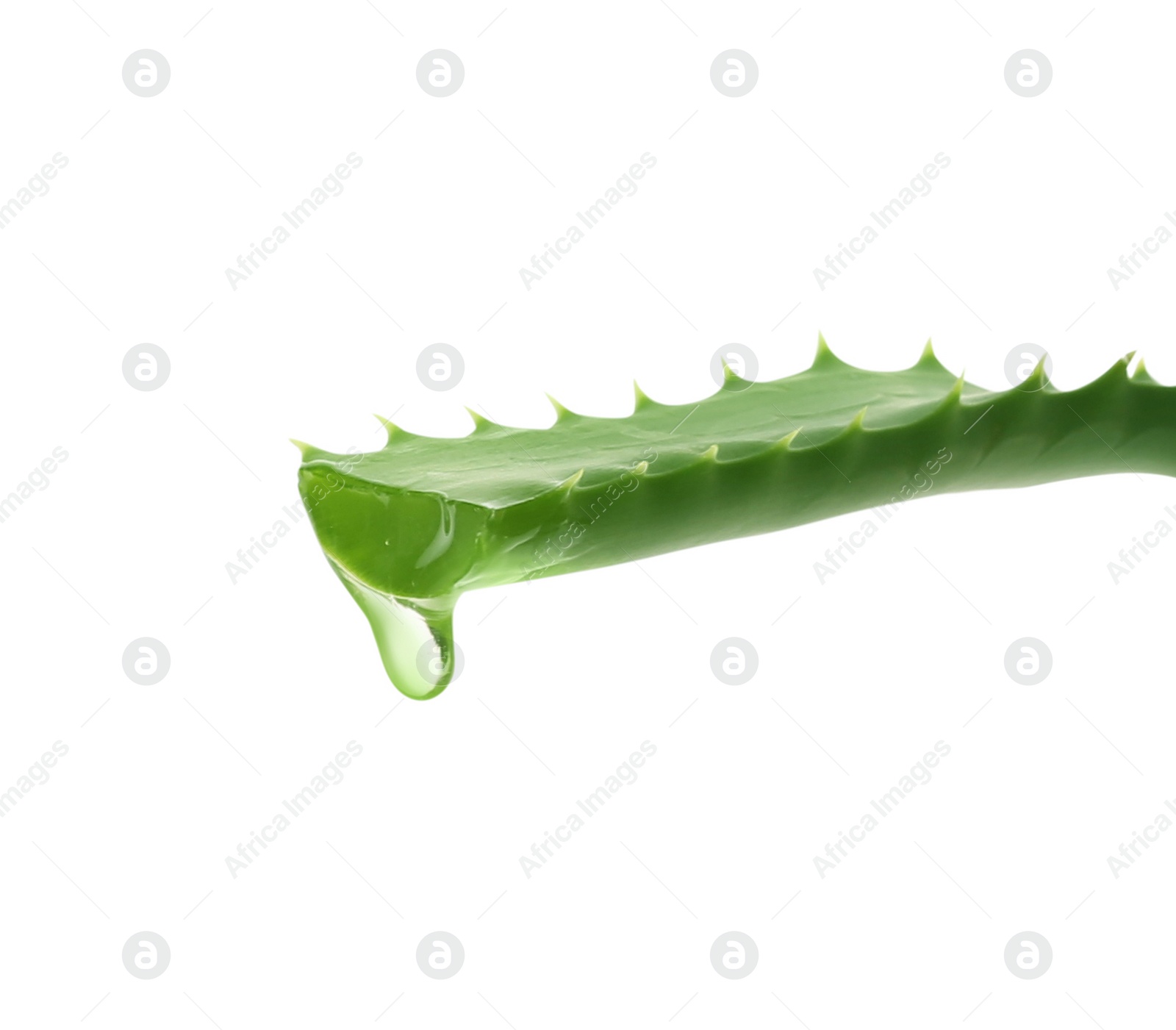 Photo of Leaf of aloe plant with water drop on white background