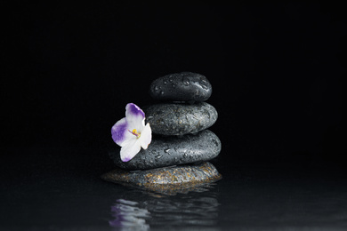 Stones and flower in water on black background. Zen lifestyle