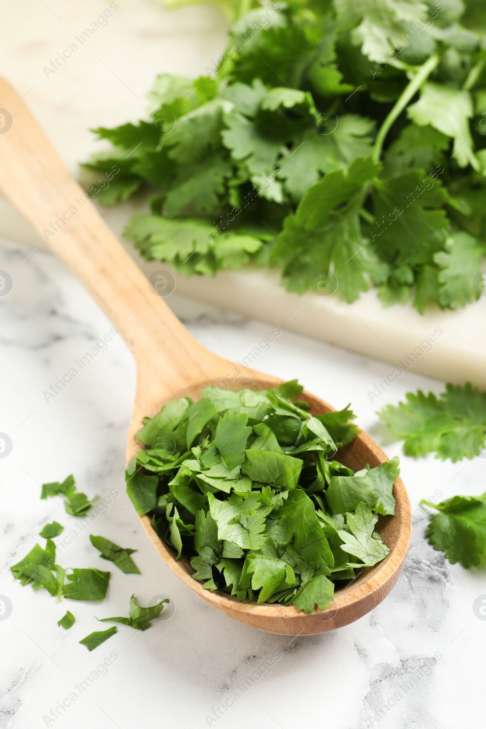 Photo of Fresh green cilantro and wooden spoon on white marble table