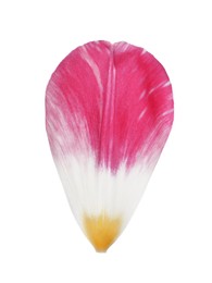 Photo of Beautiful fresh tulip petal isolated on white