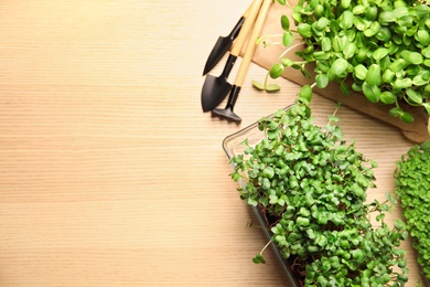 Photo of Fresh organic microgreens and gardening tools on wooden table, flat lay. Space for text