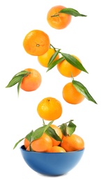 Image of Set of fresh ripe tangerines falling into bowl on white background