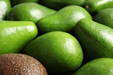 Photo of Many ripe fresh avocados as background