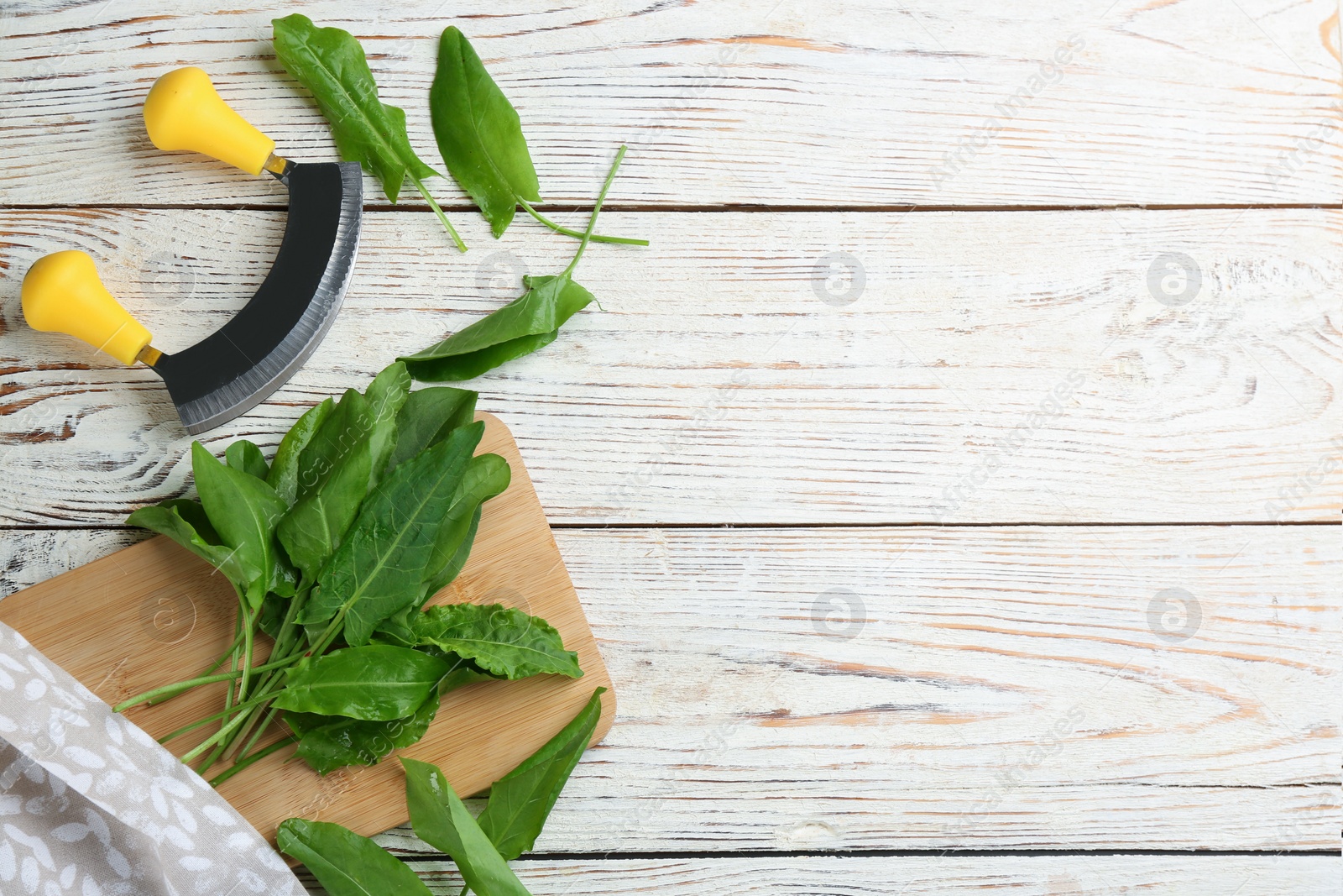 Photo of Fresh green sorrel leaves and mezzaluna knife on white wooden table, flat lay. Space for text