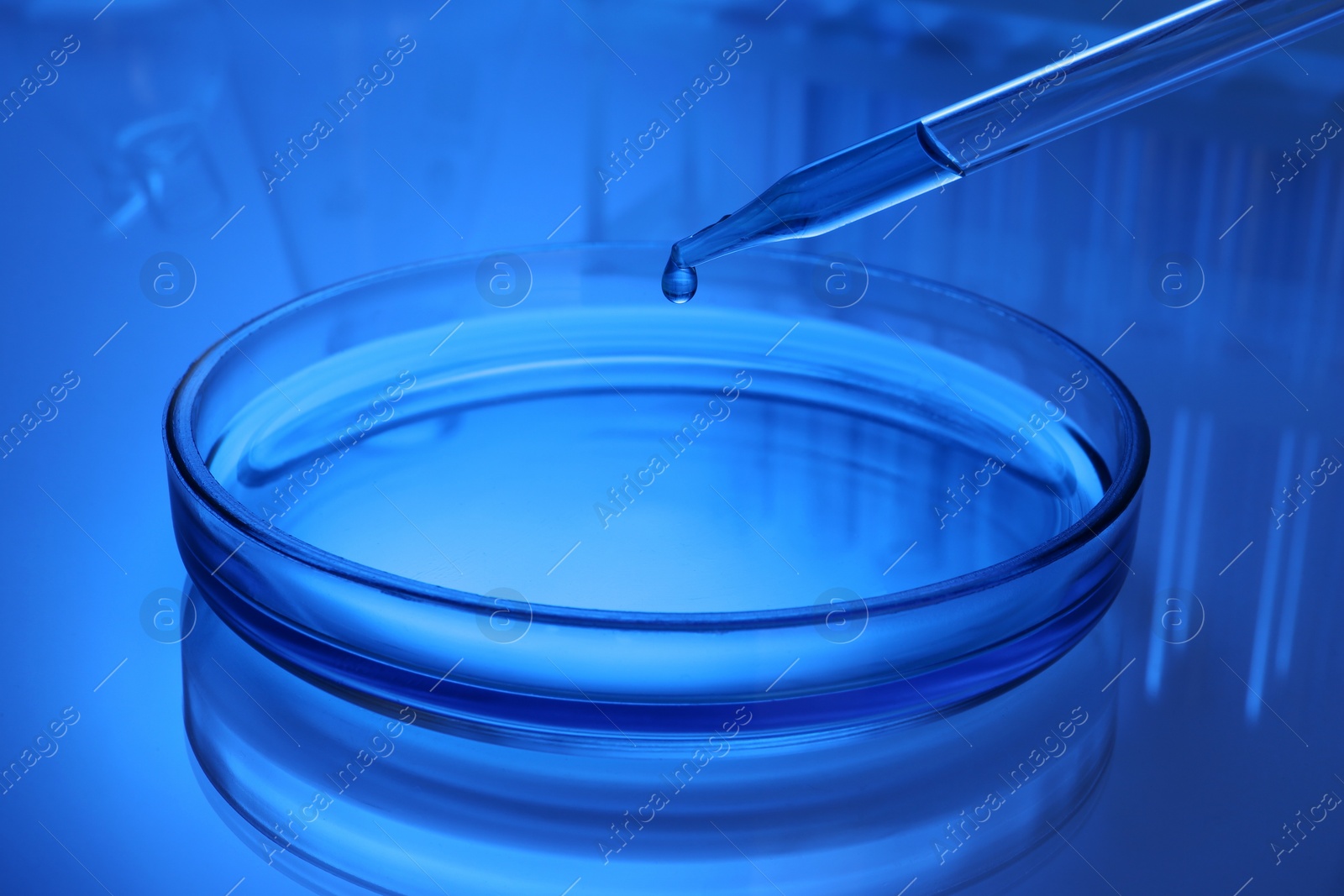 Photo of Dripping reagent into Petri dish with sample on table, toned in blue