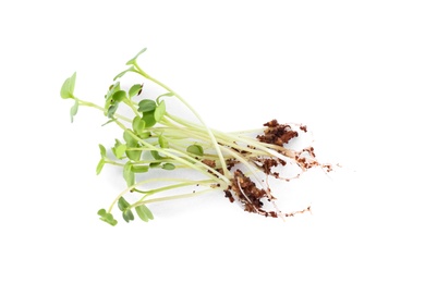 Photo of Fresh organic microgreen seeds on white background, top view