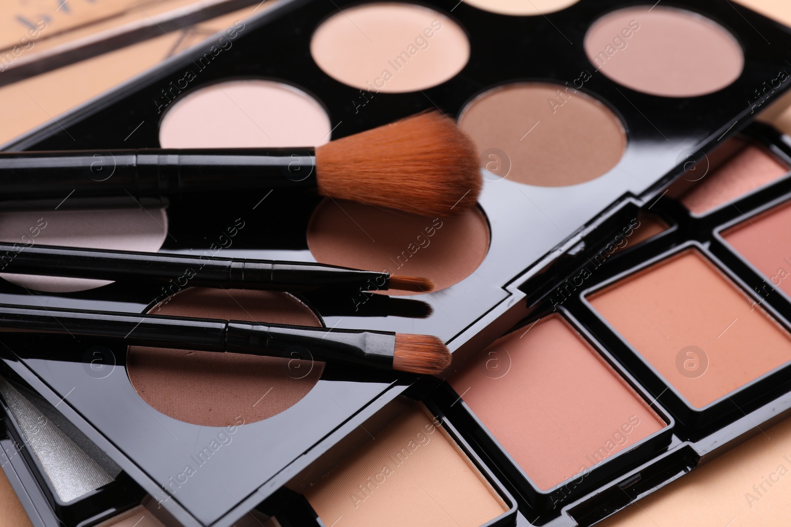 Photo of Colorful contouring palettes with brushes, closeup. Professional cosmetic product