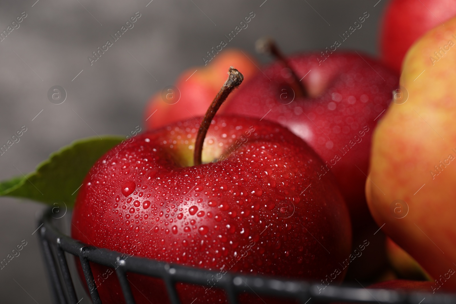 Photo of Fresh ripe red apples with water drops in metal bowl on grey background, closeup