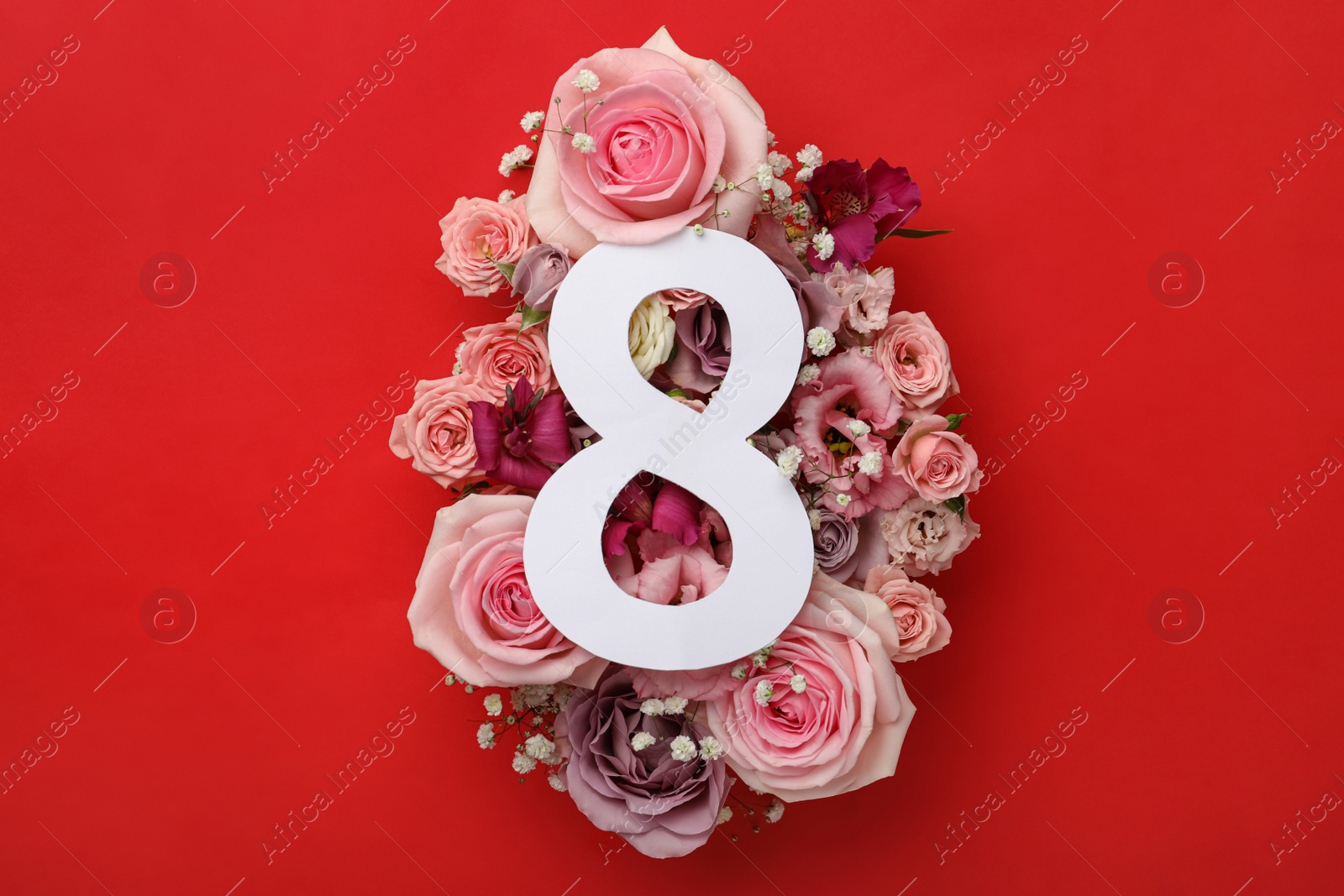 Photo of 8 March greeting card design with beautiful pink flowers on red background, flat lay. International Women's day
