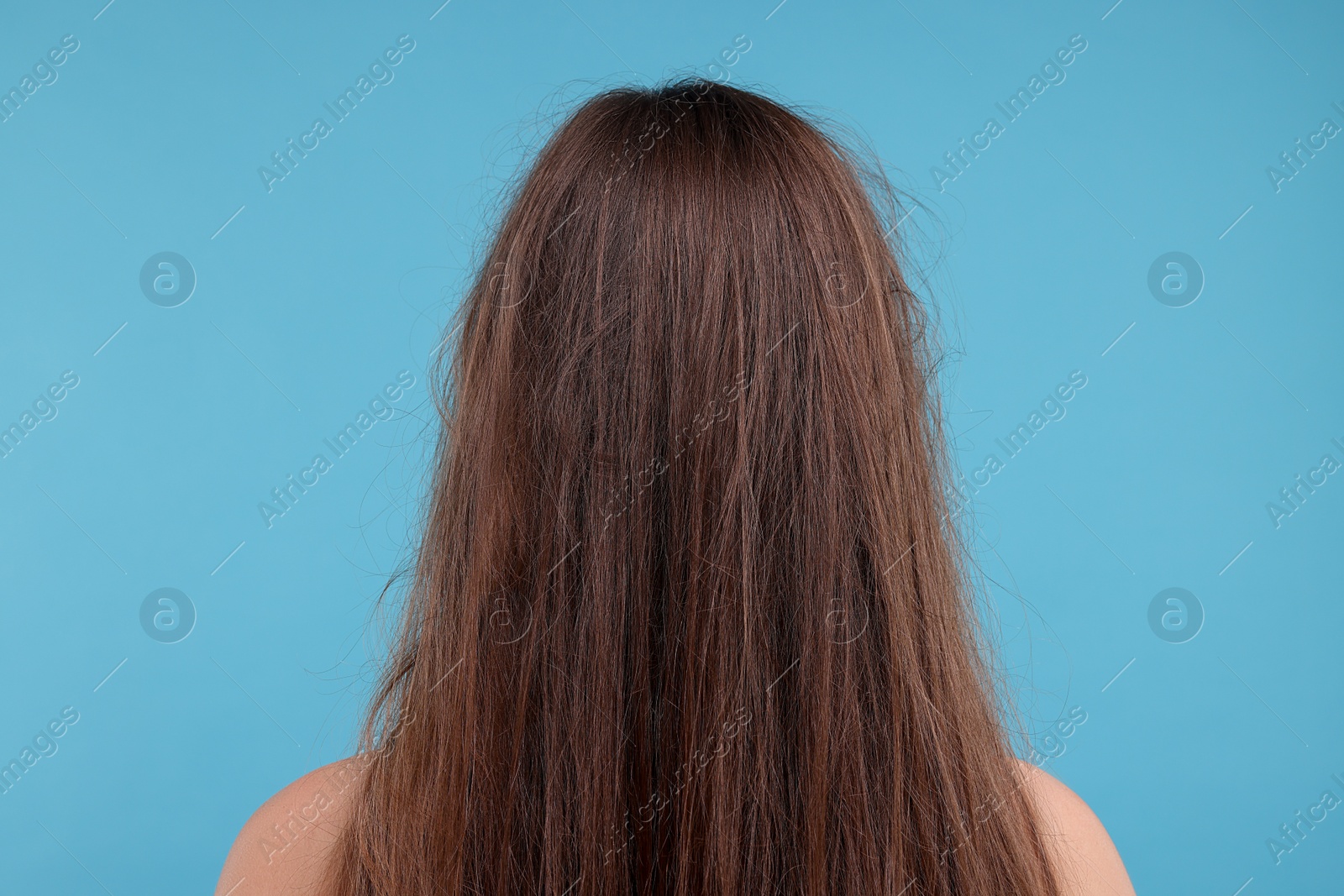 Photo of Woman with damaged messy hair on light blue background, back view