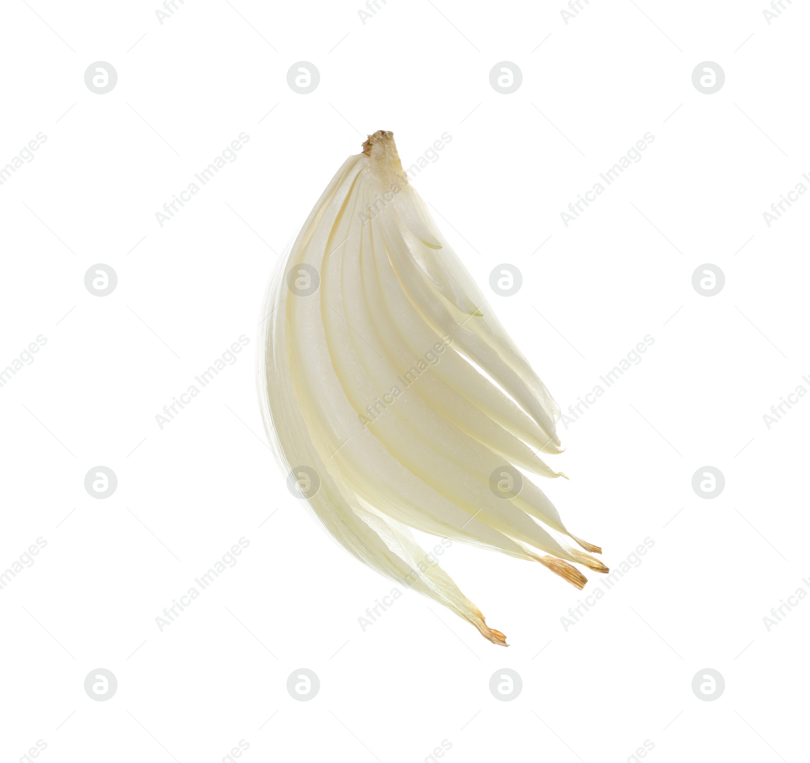 Photo of Slice of fresh ripe onion on white background