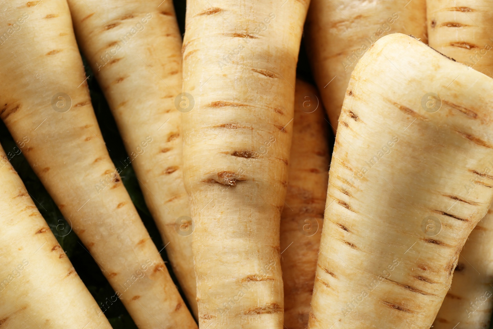 Photo of Many fresh ripe parsnips as background, closeup