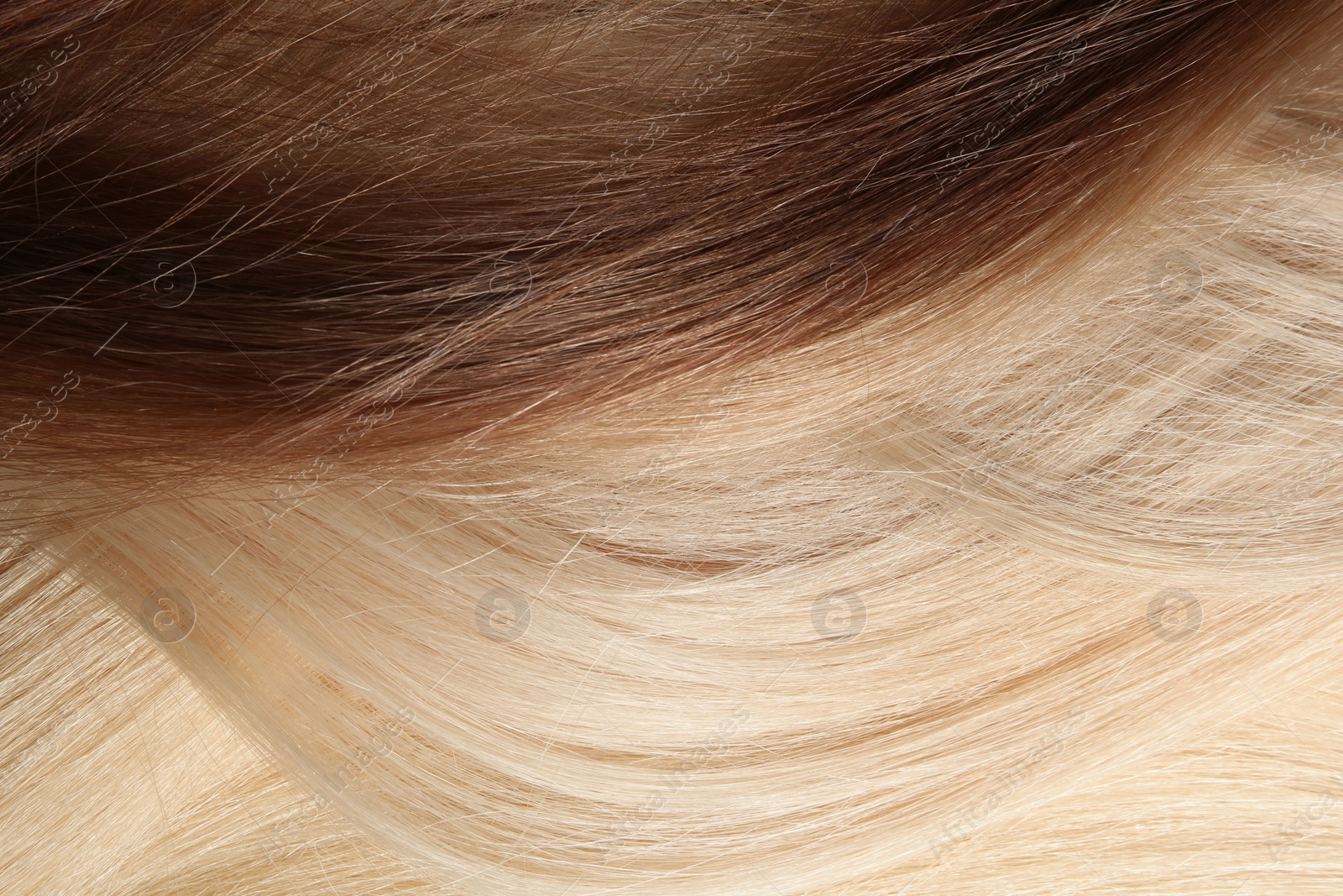 Photo of Strands of different color hair as background, closeup