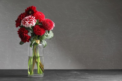 Photo of Beautiful dahlia flowers in vase on table against grey background. Space for text