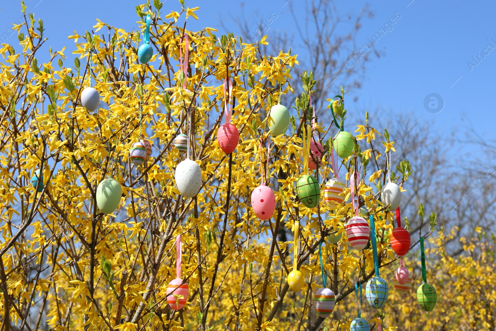 Photo of Beautifully painted Easter eggs hanging on tree outdoors