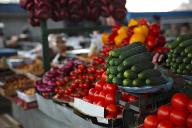 Photo of Fresh ripe vegetables on counter at wholesale market