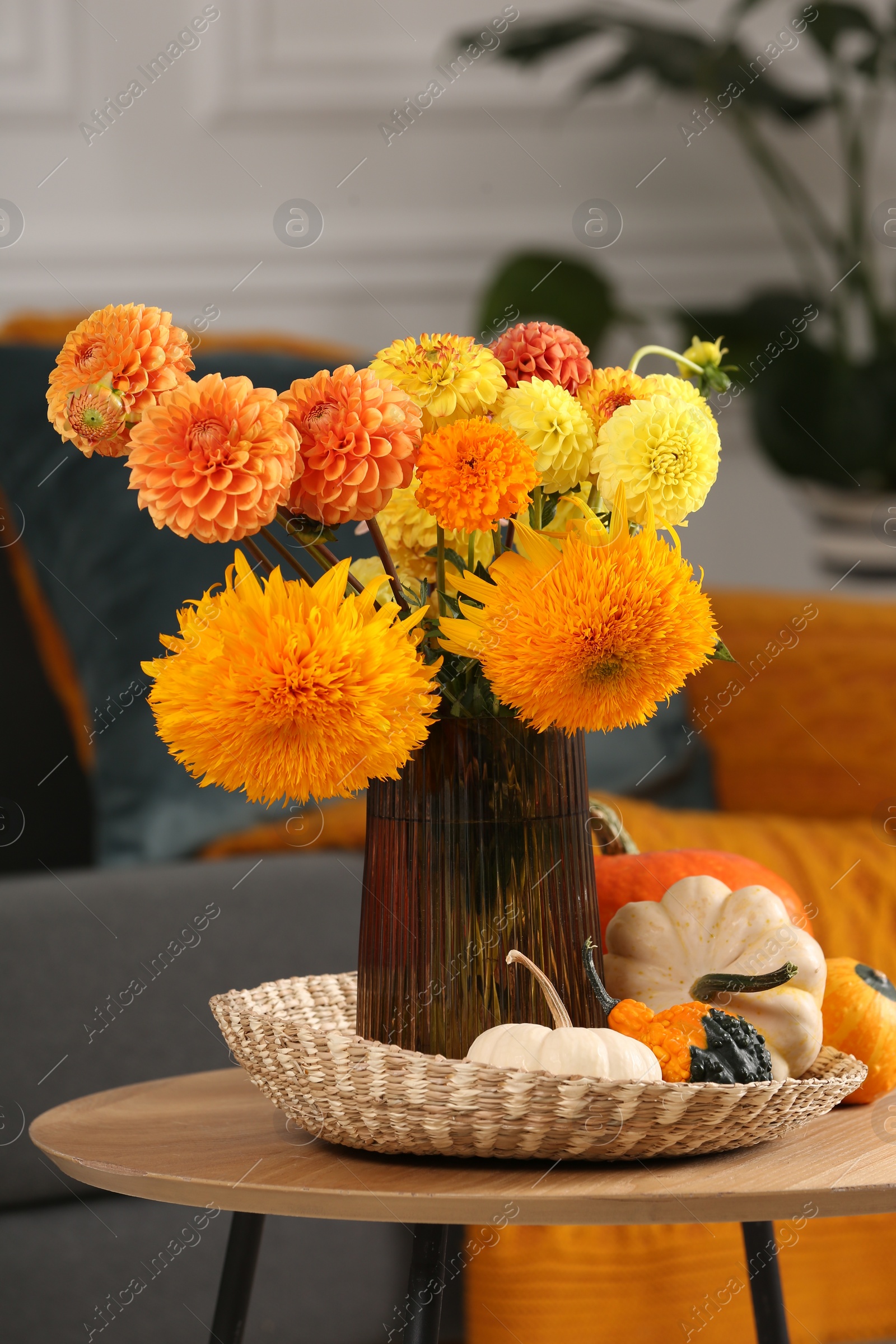 Photo of Beautiful bouquet with bright orange flowers and pumpkins on coffee table indoors. Autumn vibes