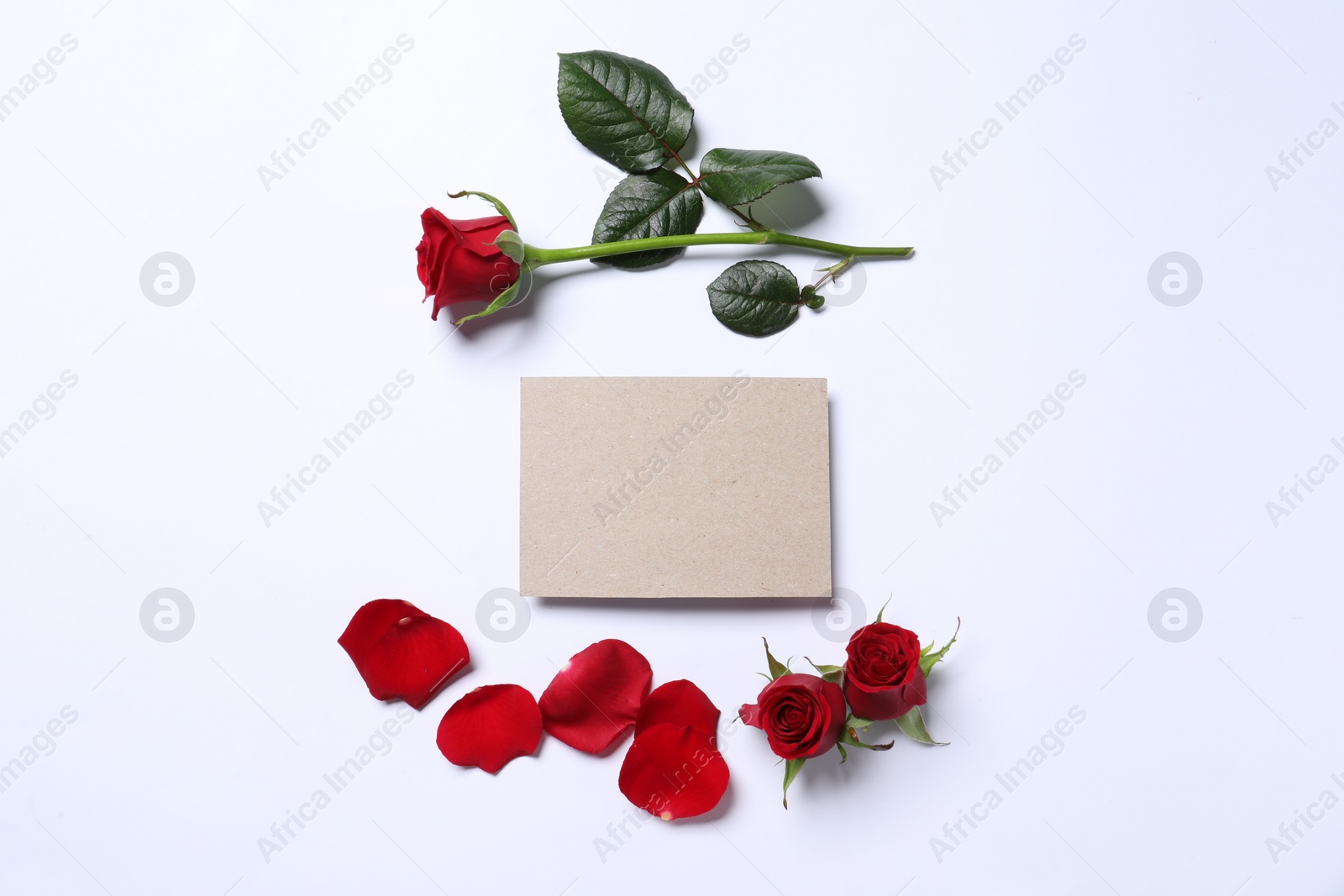 Photo of Blank card, beautiful red roses and petals on white background, flat lay. Space for text