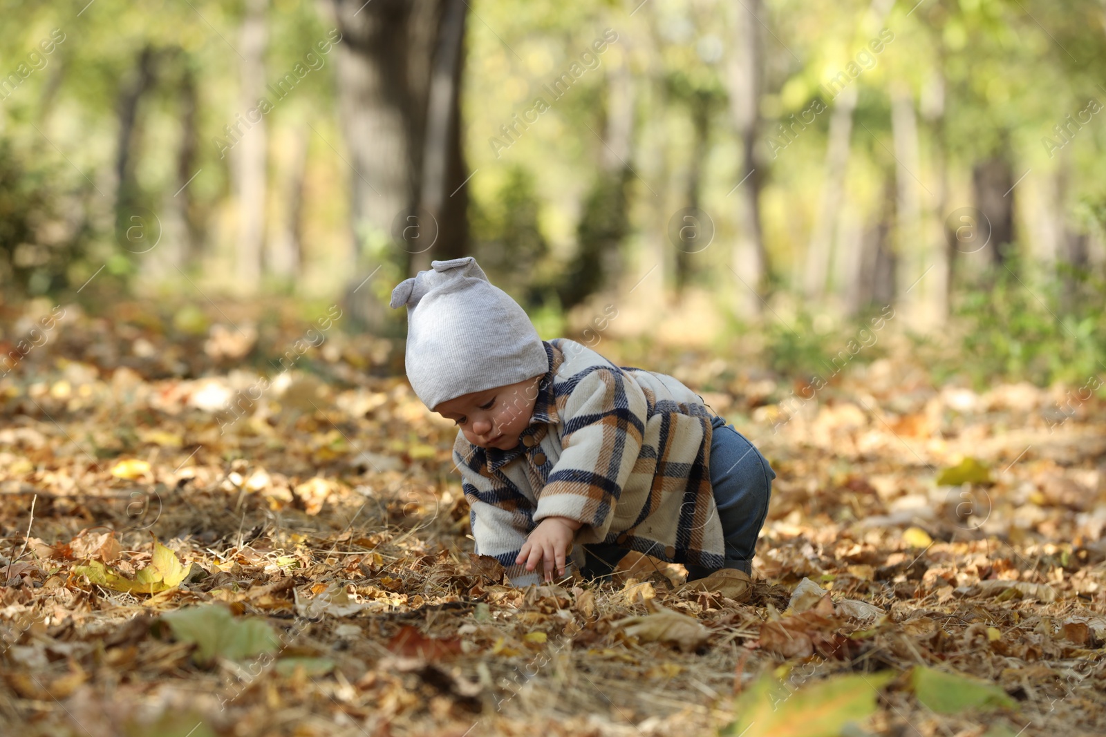 Photo of Cute little child on ground with dry leaves in autumn park