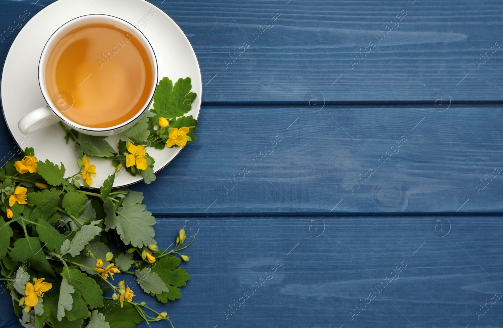 Photo of Cup of aromatic celandine tea and flowers on blue wooden table, flat lay. Space for text