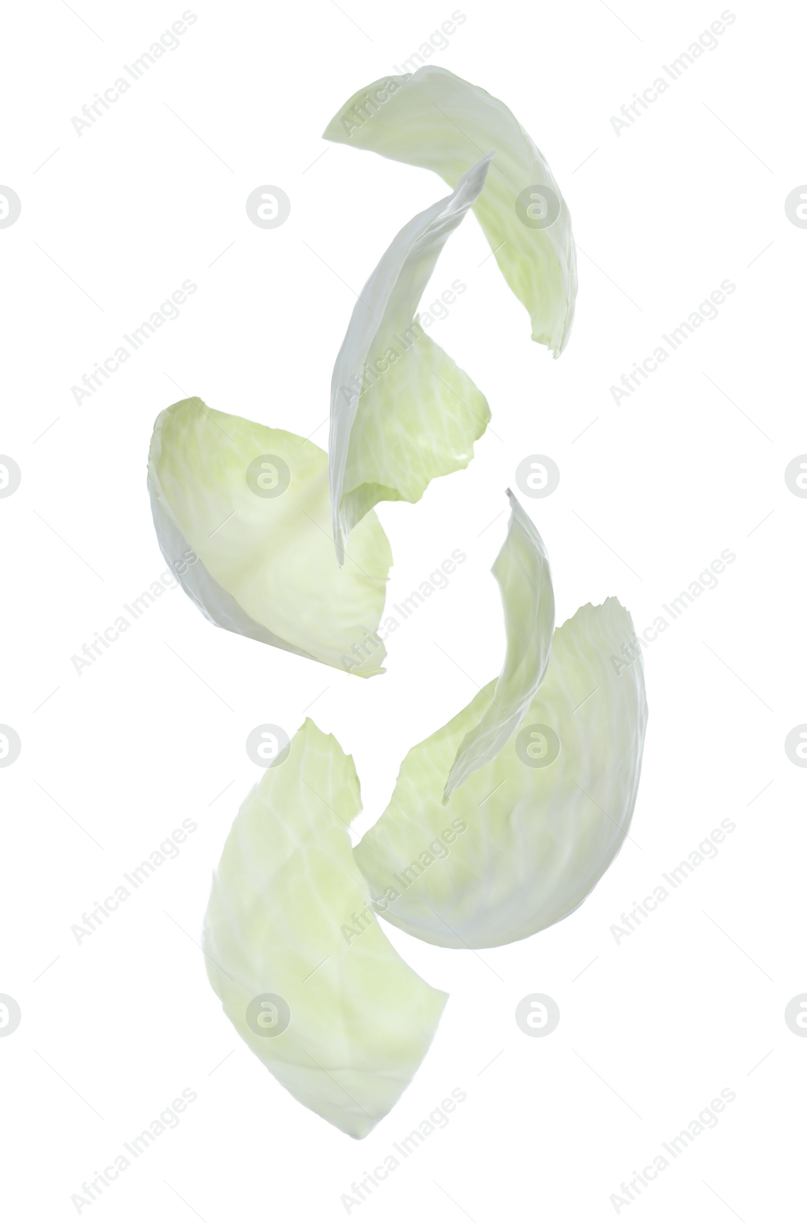 Image of Fresh cabbage leaves falling on white background