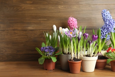 Photo of Different flowers in ceramic pots on wooden table. Space for text