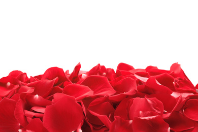 Pile of red rose petals on white background