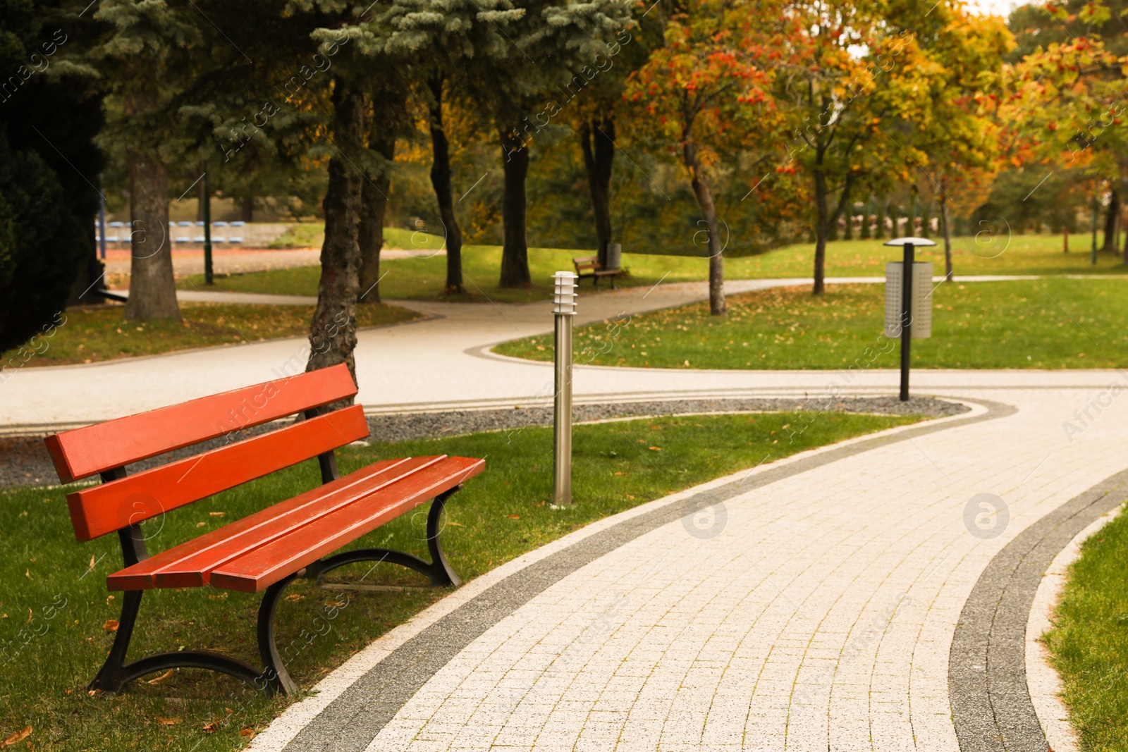 Photo of Winding pathway with beautiful trees and bench in park