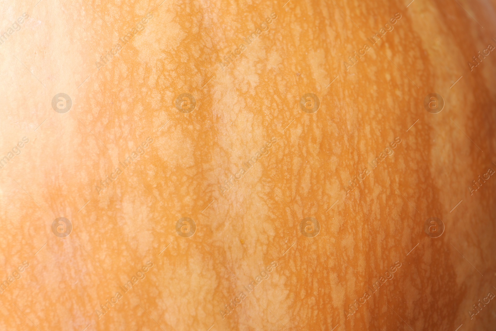 Photo of Ripe orange pumpkin as background, closeup view