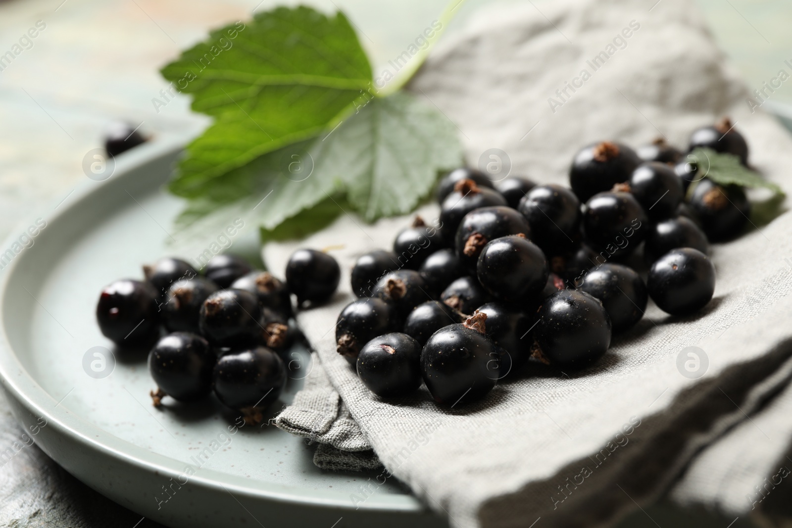 Photo of Ripe blackcurrants, leaf and napkin on plate, closeup