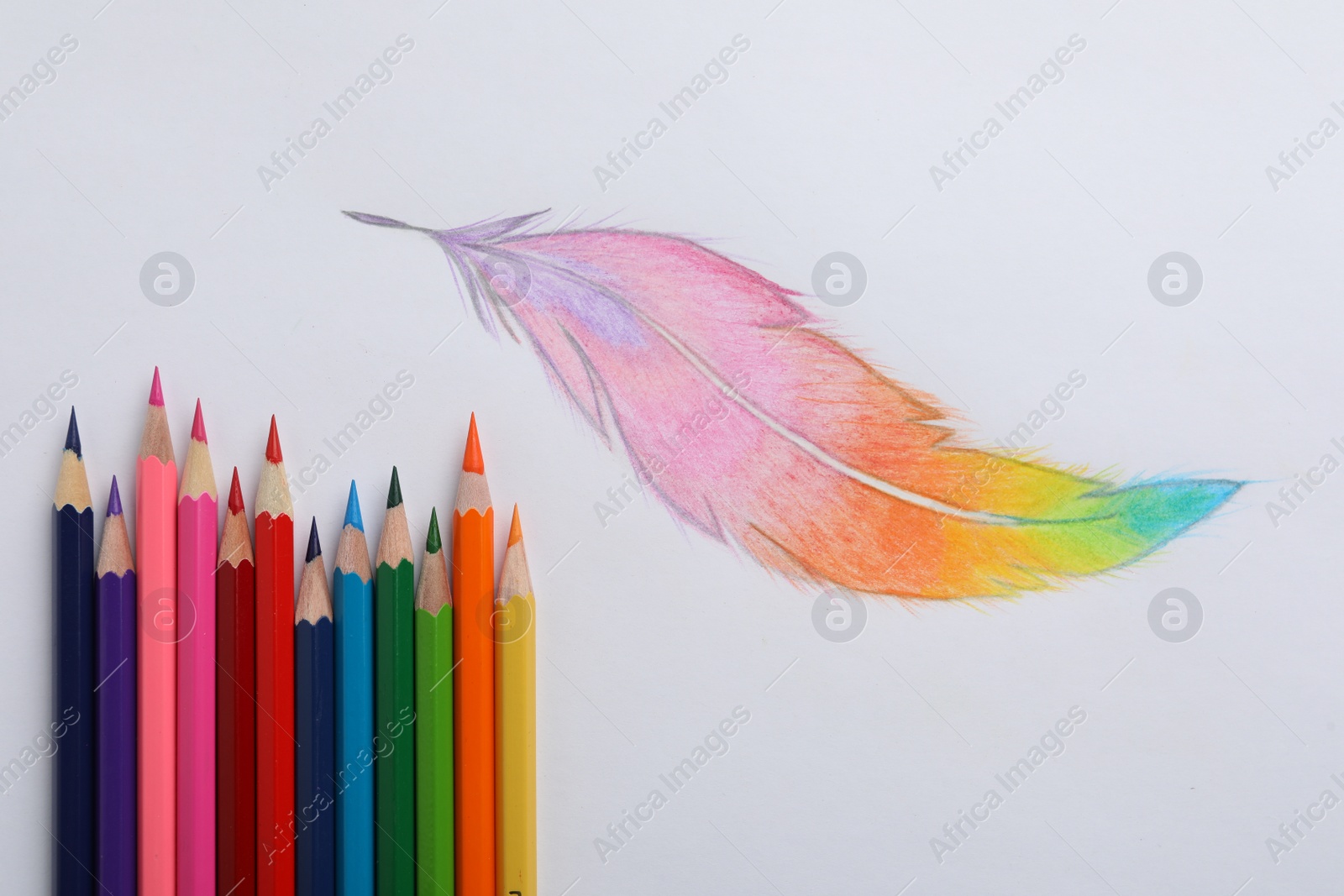 Photo of Drawing of feather and colorful pencils on white background, top view