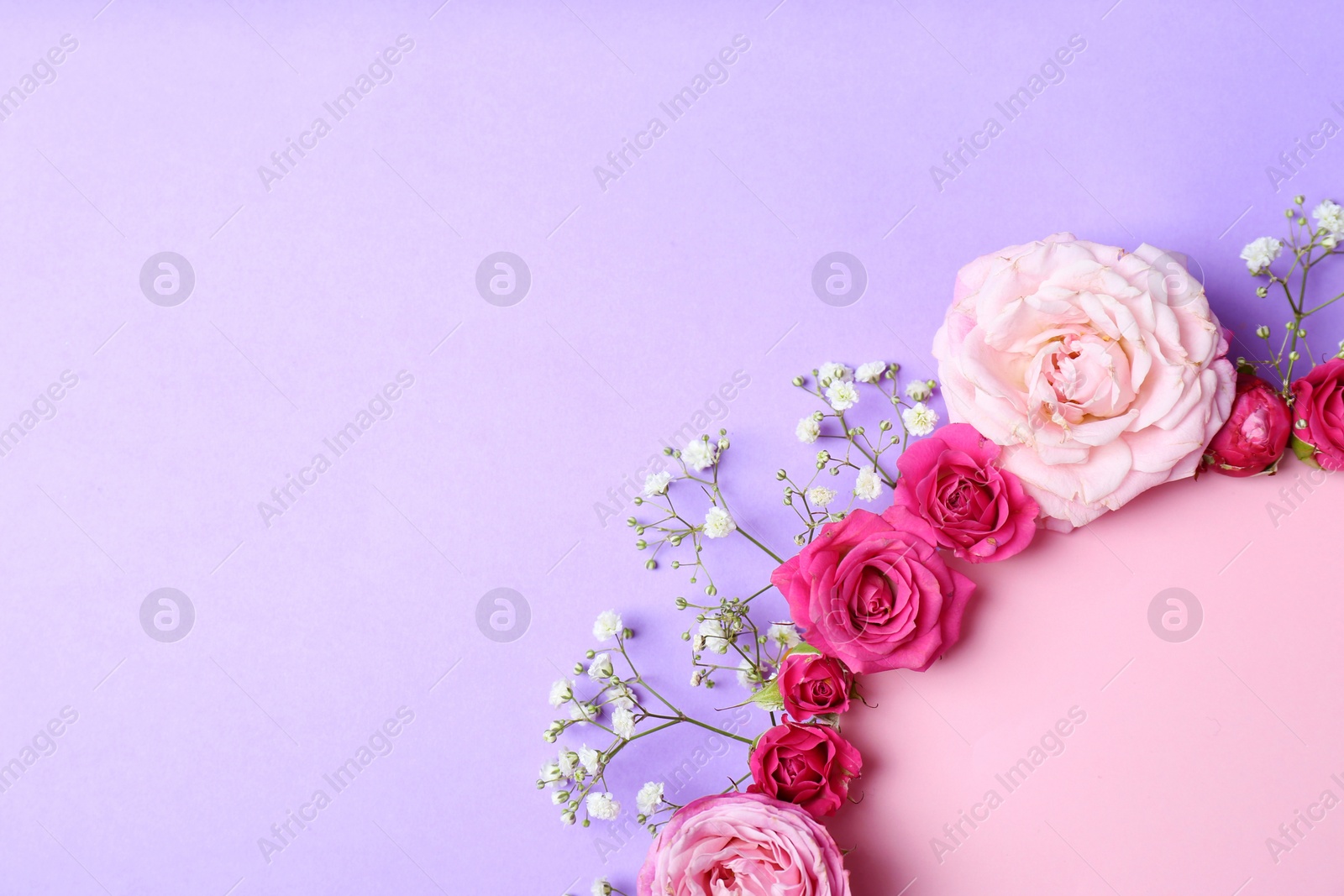 Photo of Flat lay composition with flowers and space for text on color background