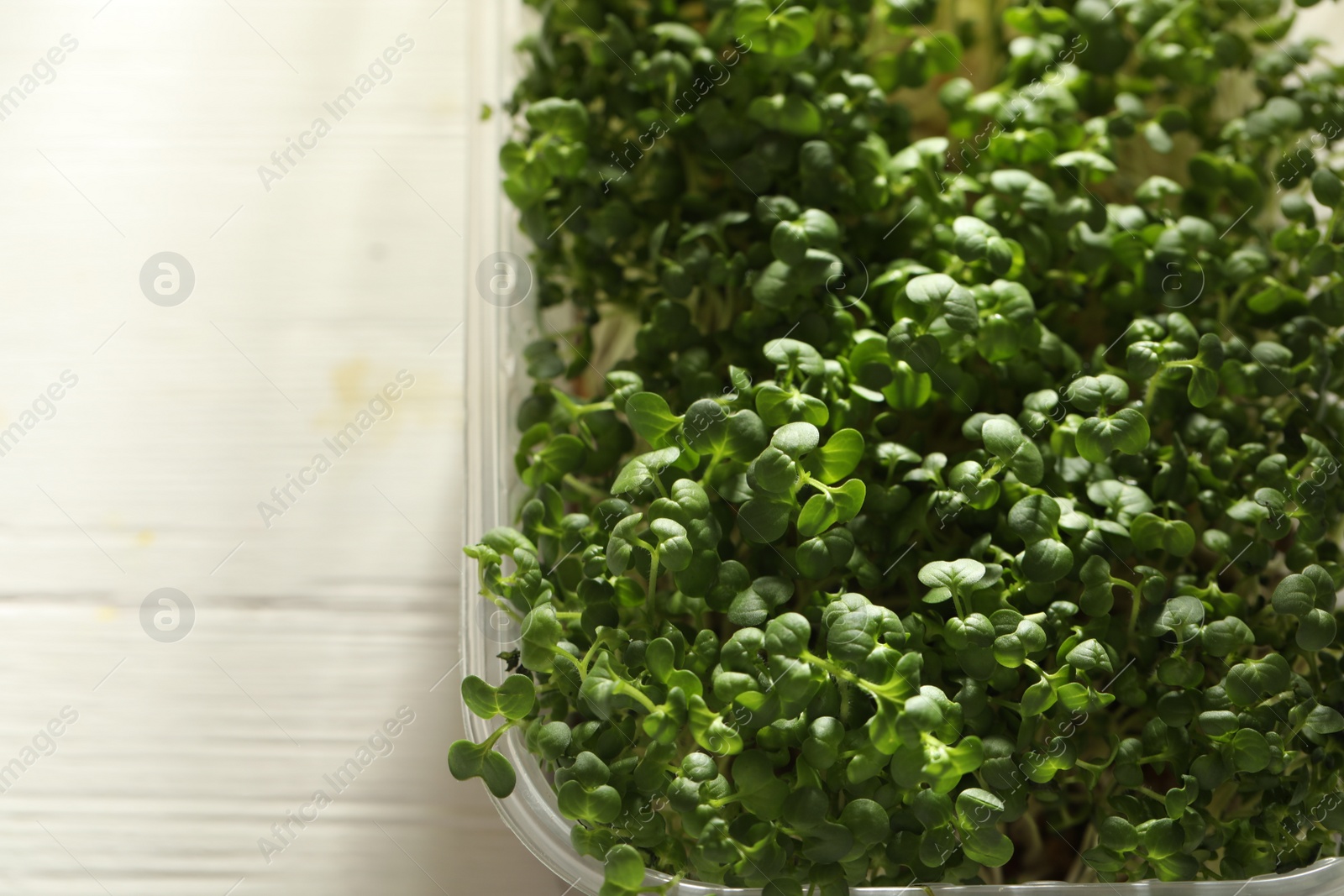 Photo of Sprouted arugula seeds in plastic container on wooden table, top view