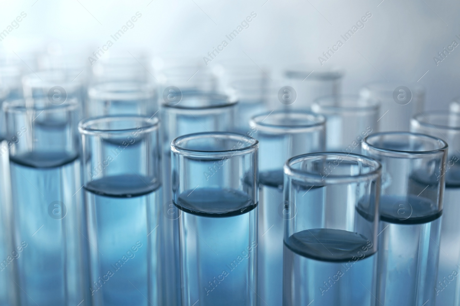 Photo of Many test tubes with light blue liquid, closeup