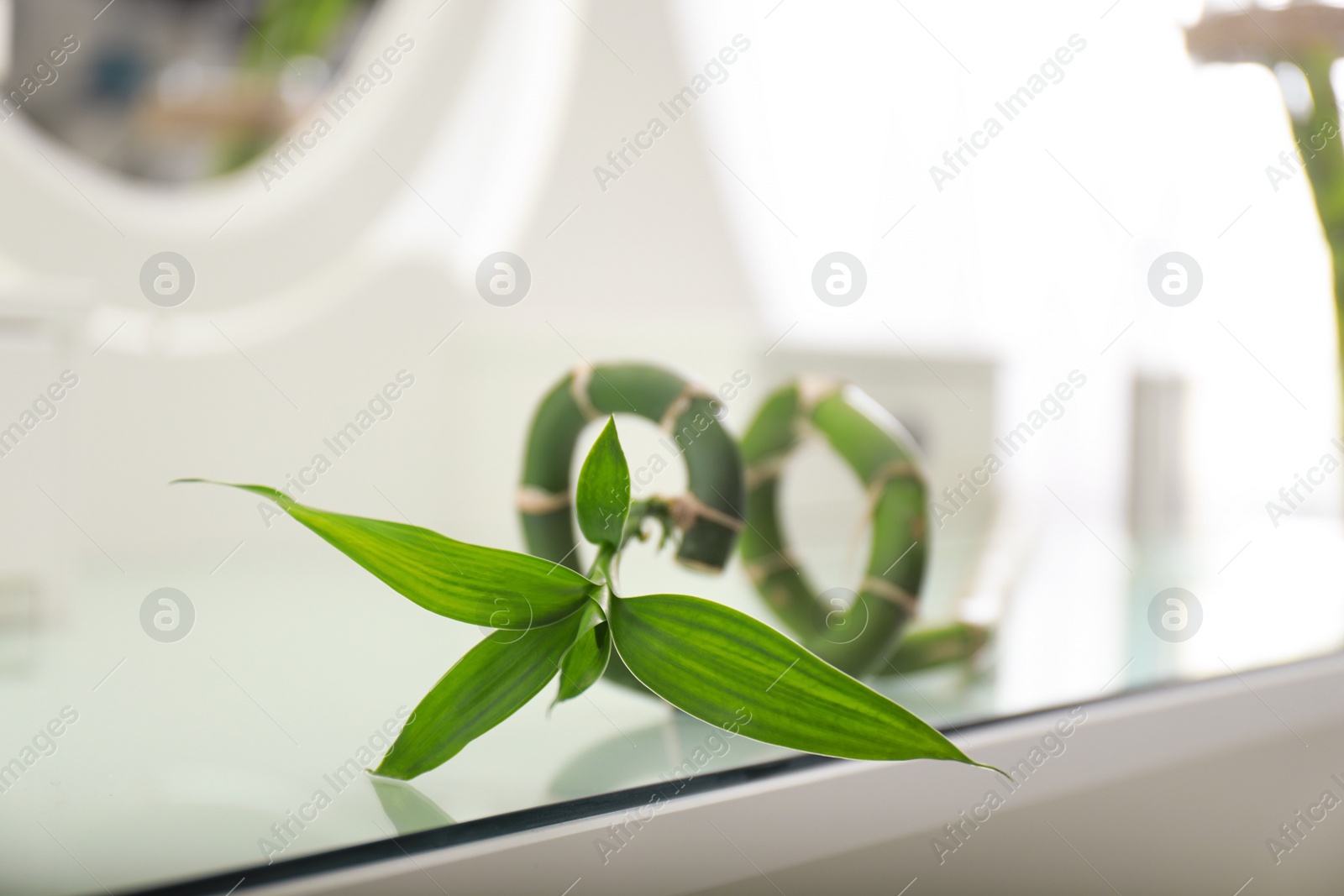 Photo of Green tropical plant on table. Modern decor for stylish interior