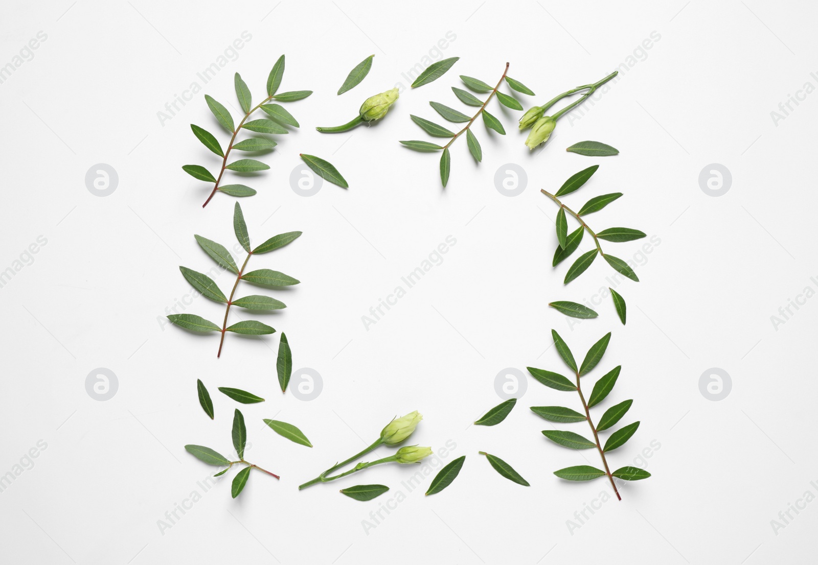 Photo of Frame made of beautiful flower buds and green branches on white background, top view with space for text. Floral card design